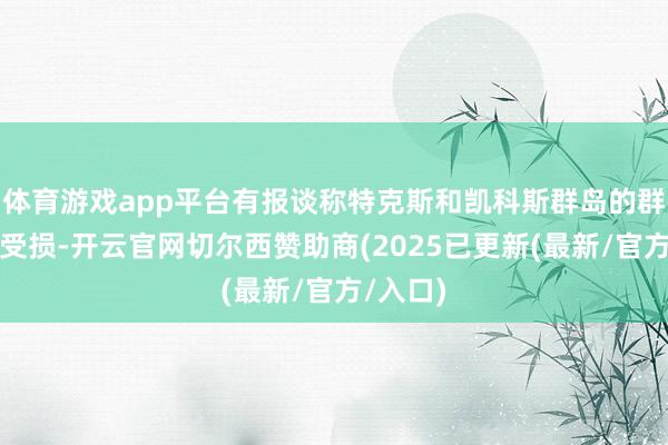 体育游戏app平台有报谈称特克斯和凯科斯群岛的群众财产受损-开云官网切尔西赞助商(2025已更新(最新/官方/入口)