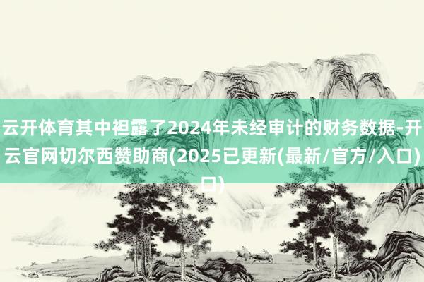 云开体育其中袒露了2024年未经审计的财务数据-开云官网切尔西赞助商(2025已更新(最新/官方/入口)