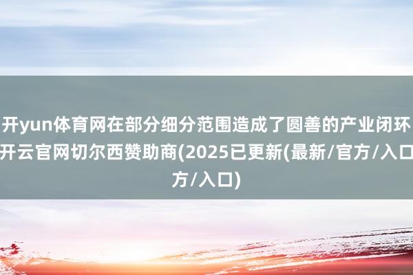 开yun体育网在部分细分范围造成了圆善的产业闭环-开云官网切尔西赞助商(2025已更新(最新/官方/入口)