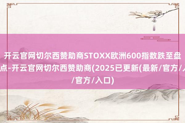 开云官网切尔西赞助商STOXX欧洲600指数跌至盘中低点-开云官网切尔西赞助商(2025已更新(最新/官方/入口)